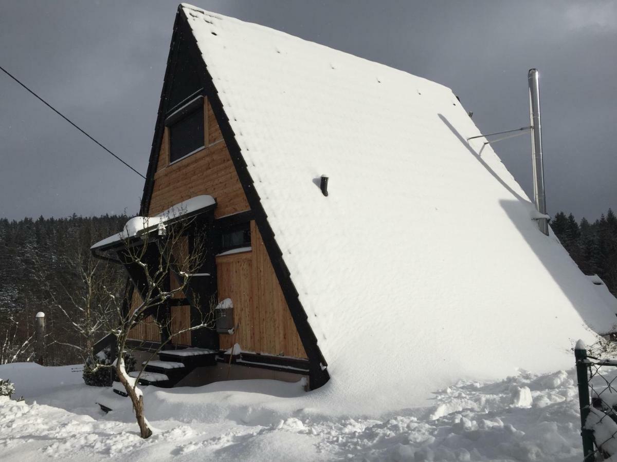 Haus Fichtelgebirge Villa Nagel Dış mekan fotoğraf